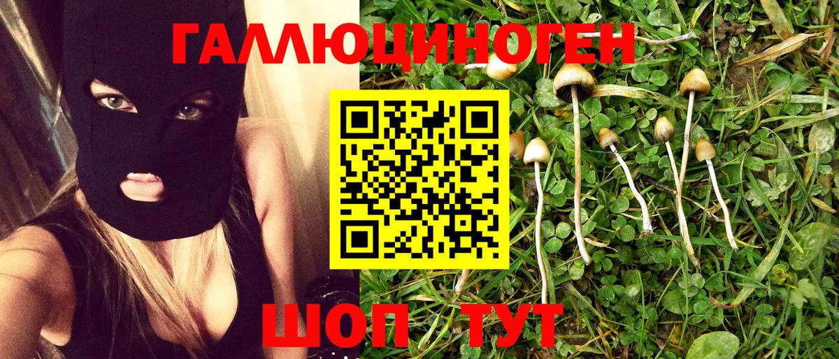 Галлюциногенные грибы MAGIC MUSHROOMS  Вход с VPN  Жигулёвск 