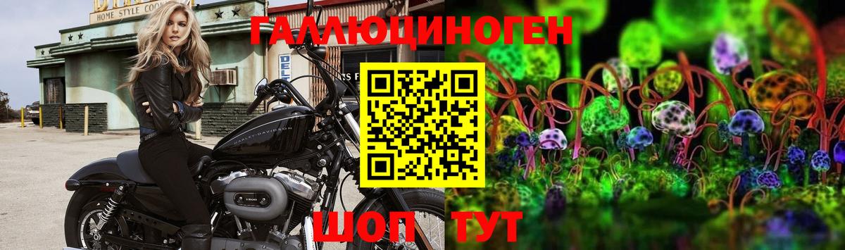 Псилоцибиновые грибы мухоморы Жигулёвск